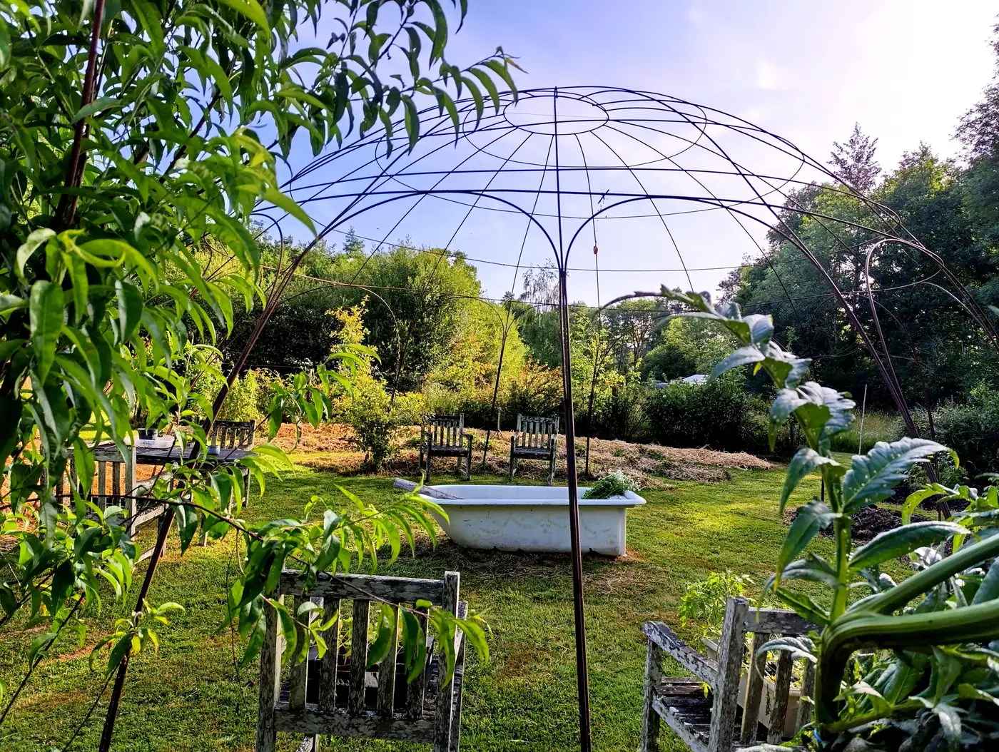 Le jardin en permaculture et ses dômes, cadre des séjours