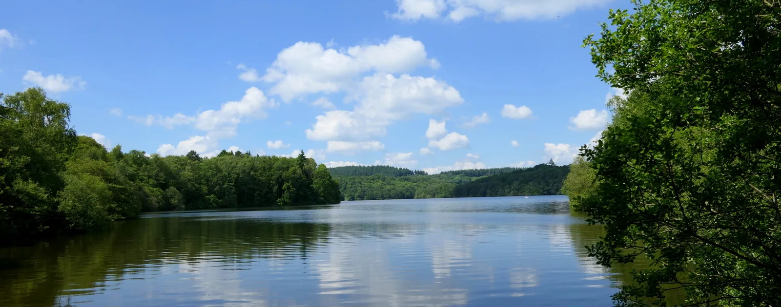 Le lac de Saint-Pardoux, horizon dégagé sur l'eau calme